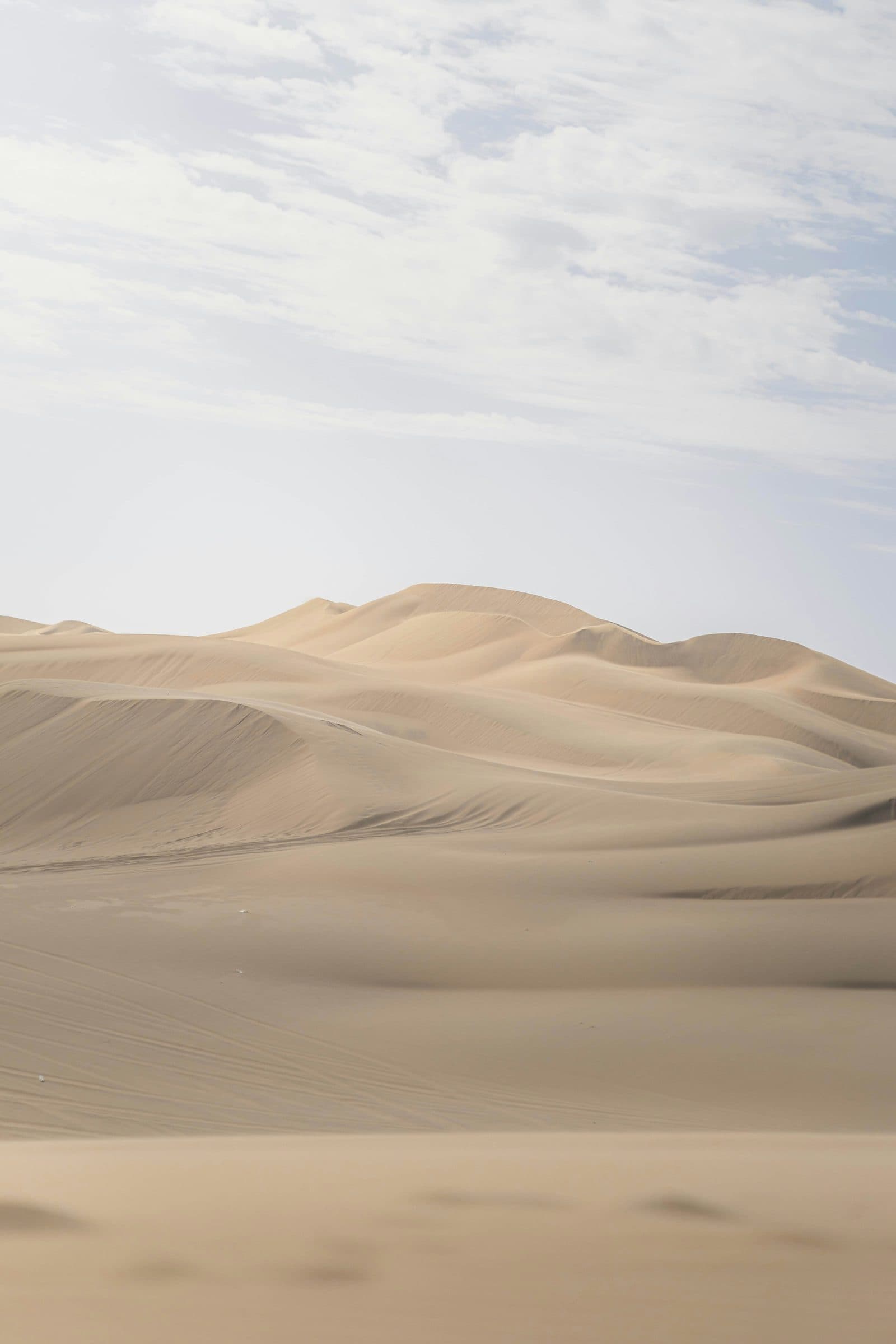 Rippled sand dunes stretching to the horizon under an open sky